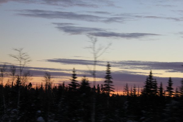 New Camera Dec2010 220